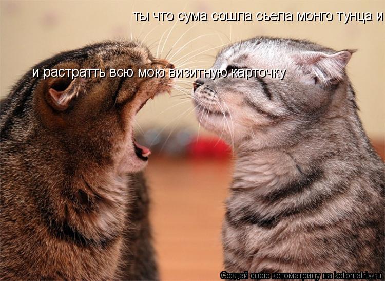 Котоматрица: ты что сума сошла сьела монго тунца и растратть мою визитную карточку  и растратть всю мою визитную карточку