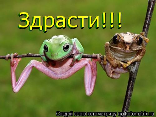 Котоматрица: Здрасти!!! Здрасти!!!
