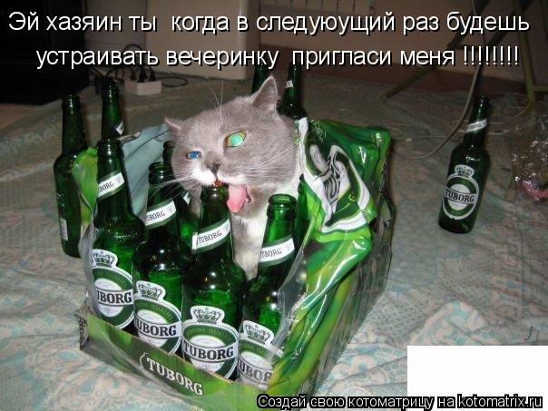 Котоматрица: Эй хазяин ты  когда в следуюущий раз будешь   устраивать вечеринку  пригласи меня !!!!!!!!
