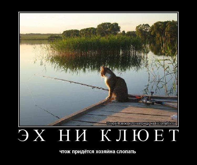 Котоматрица: эх ни клюёт  чтож придётся хозяйна слопать 