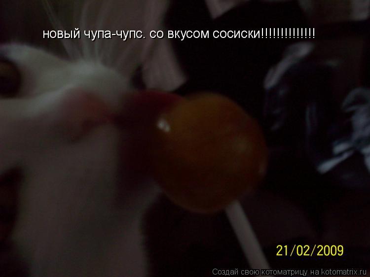 новый чупа-чупс. со вкусом сосиски!!!!!!!!!!!!!!... Котоматрица: новый чупа-чупс. со вкусом сосиски!!!!!!!!!!!!!!