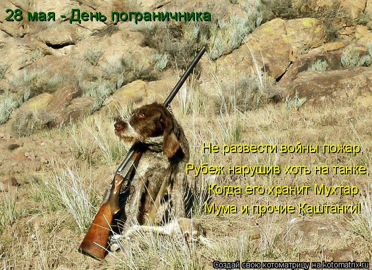 28 мая - День пограничника Не развести войны пожар, Рубеж нарушив хоть на танке, Когда его хранит Мух... Котоматрица: 28 мая - День пограничника Не развести войны пожар, Рубеж нарушив хоть на танке, Когда его хранит Мухтар, Мума и прочие Каштанки!