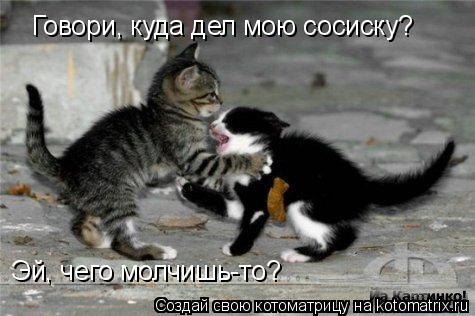 Говори, куда дел мою сосиску? Эй, чего молчишь-то?... Котоматрица: Говори, куда дел мою сосиску? Эй, чего молчишь-то?