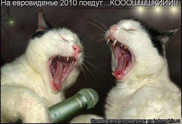 На евровиденье 2010 поедут....КОООШШШКИИИ!!... Котоматрица: На евровиденье 2010 поедут....КОООШШШКИИИ!!