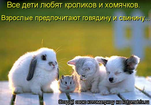 Все дети любят кроликов и хомячков. Взрослые предпочитают говядину и свинину...... Котоматрица: Все дети любят кроликов и хомячков. Взрослые предпочитают говядину и свинину...