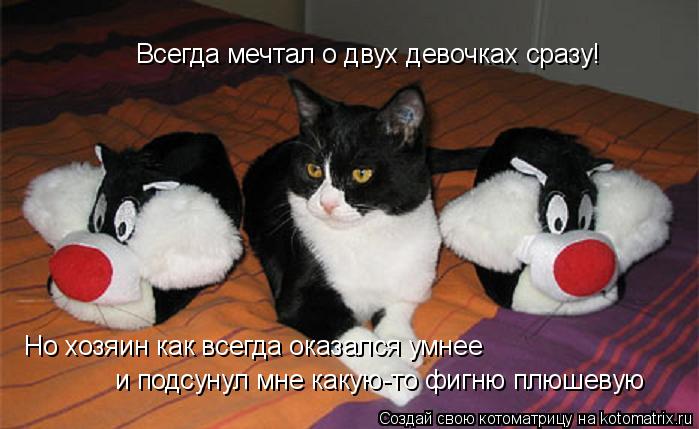 Всегда мечтал о двух девочках сразу! Но хозяин как всегда оказался умнее и подсунул мне какую-то фигн... Котоматрица: Всегда мечтал о двух девочках сразу! Но хозяин как всегда оказался умнее и подсунул мне какую-то фигню плюшевую