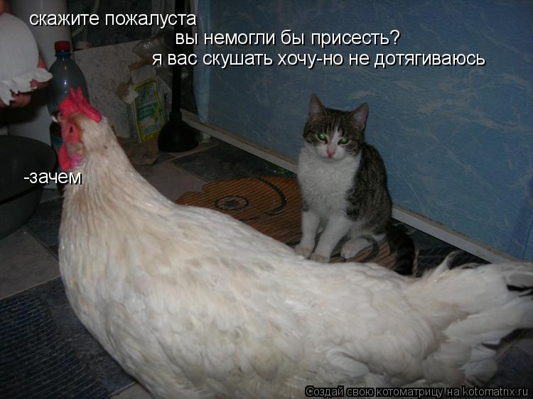Котоматрица: скажите пожалуста вы немогли бы присесть? -зачем я вас скушать хочу-но не дотягиваюсь