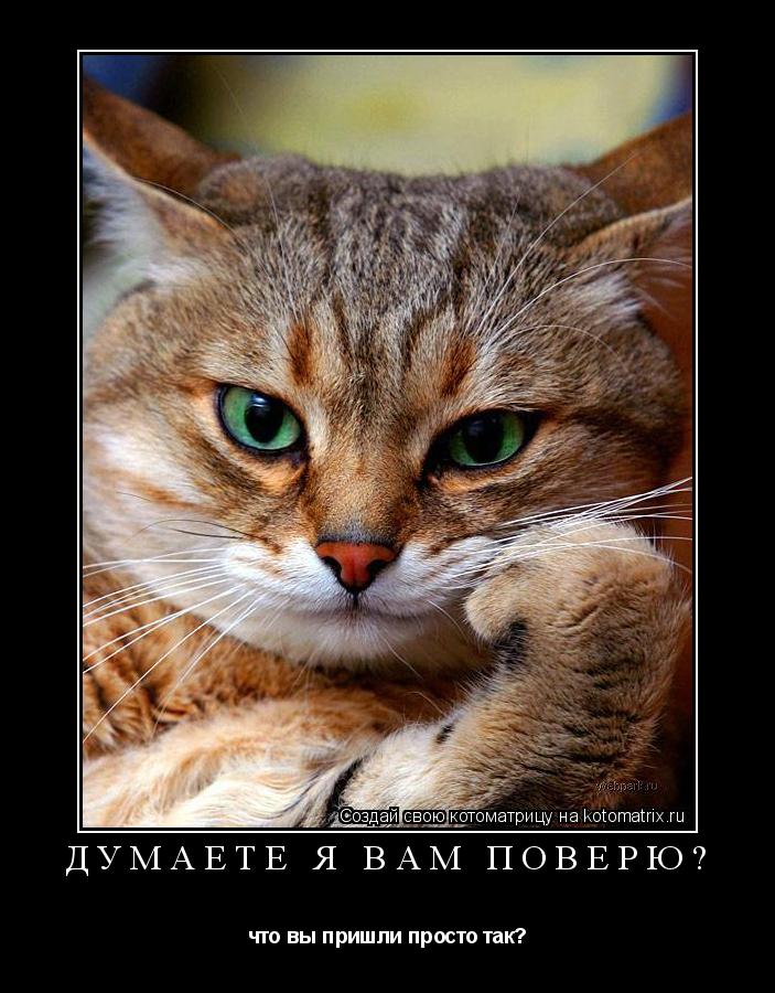Котоматрица: думаете я вам поверю? что вы пришли просто так?