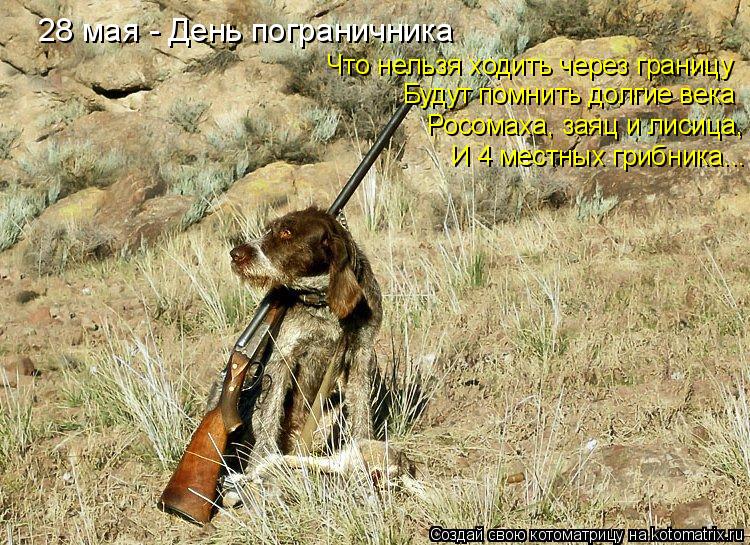 28 мая - День пограничника Что нельзя ходить через границу Будут помнить долгие века Росомаха, заяц и... Котоматрица: 28 мая - День пограничника Что нельзя ходить через границу Будут помнить долгие века Росомаха, заяц и лисица, И 4 местных грибника...