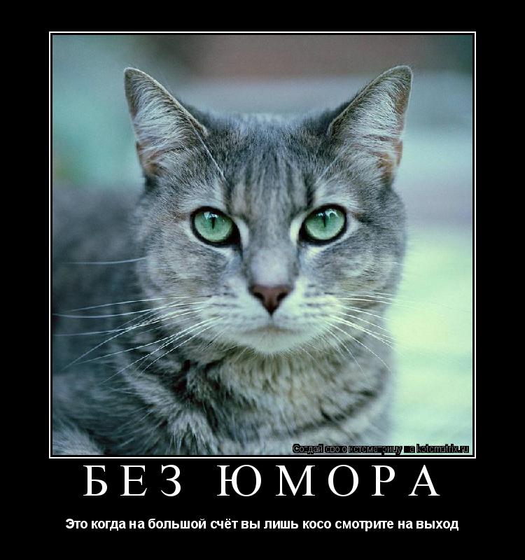 Без юмора Это когда на большой счёт вы лишь косо смотрите на выход... Котоматрица: Без юмора Это когда на большой счёт вы лишь косо смотрите на выход