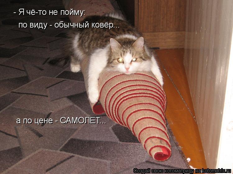 - Я чё-то не пойму: по виду - обычный ковёр... а по цене - САМОЛЕТ...... Котоматрица: - Я чё-то не пойму: по виду - обычный ковёр... а по цене - САМОЛЕТ...