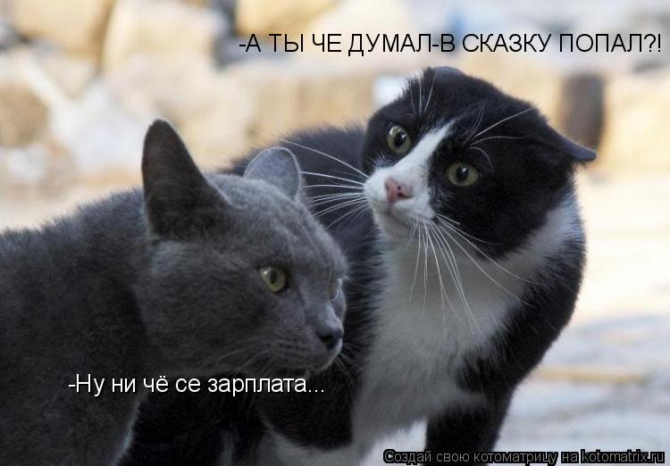 Котоматрица: -Ну ни чё се зарплата... -А ТЫ ЧЕ ДУМАЛ-В СКАЗКУ ПОПАЛ?!