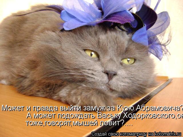 Может и правда выйти замуж за Кузю Абрамовича?.....А может подождать Ваську Ходорковского,он тоже,гов... Котоматрица: Может и правда выйти замуж за Кузю Абрамовича?.....А может подождать Ваську Ходорковского,он тоже,говорят,мышей ловит?.... А может подождать Ва