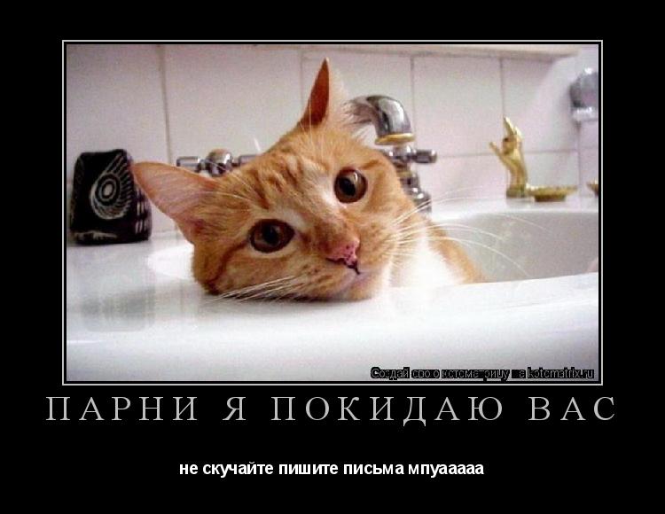 Котоматрица: парни я покидаю вас не скучайте пишите письма мпуааааа