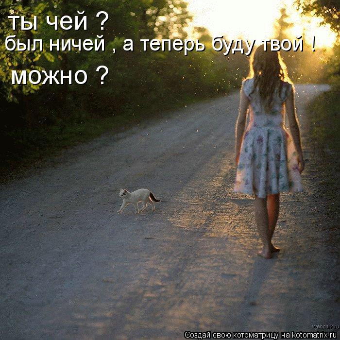 Котоматрица: ты чей ? был ничей , а теперь буду твой ! можно ?
