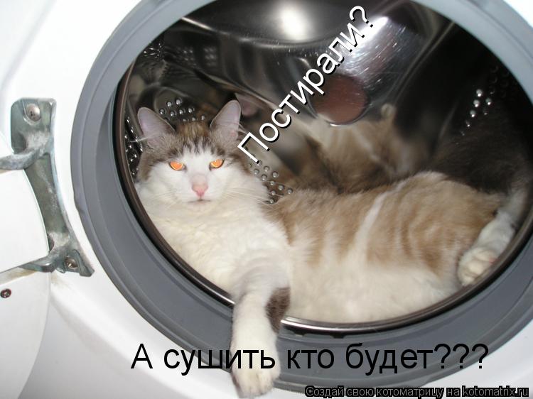 Постирали? А сушить кто будет???... Котоматрица: Постирали? А сушить кто будет???