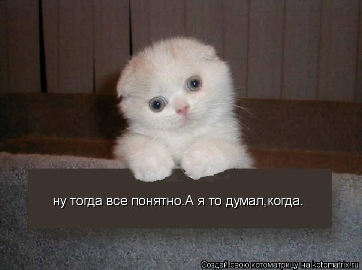 Котоматрица: ну тогда все понятно.А я то думал,когда.