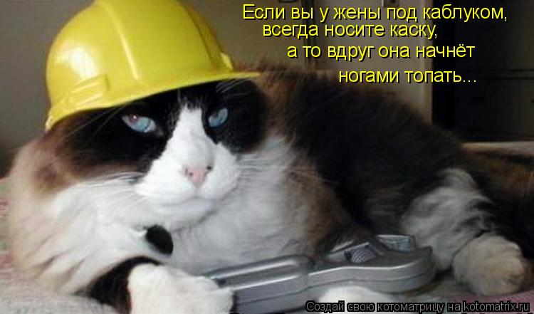 Котоматрица: Если вы у жены под каблуком, всегда носите каску, а то вдруг она начнёт  ногами топать...