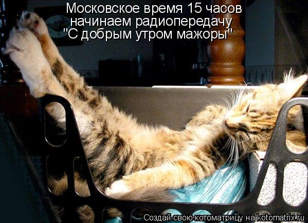 Котоматрица: Московское время 15 часов начинаем радиопередачу "С добрым утром мажоры"