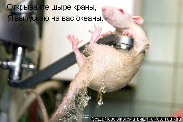 Котоматрица: Открывайте шыре краны, Я выпускаю на вас океаны.