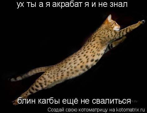 ух ты а я акрабат я и не знал блин кагбы ещё не свалиться... Котоматрица: ух ты а я акрабат я и не знал блин кагбы ещё не свалиться