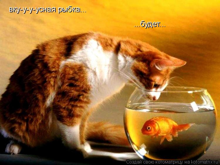 вку-у-у-усная рыбка... ...будет...... Котоматрица: вку-у-у-усная рыбка... ...будет...