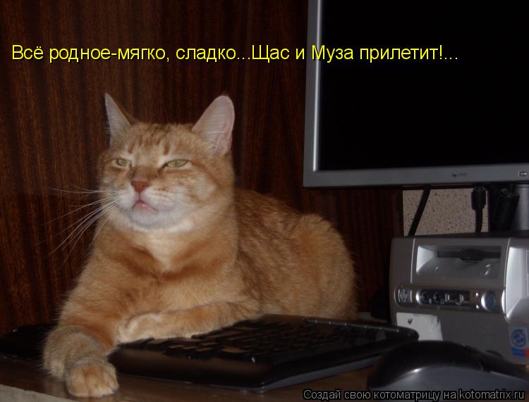 Всё родное-мягко, сладко...Щас и Муза прилетит!...... Котоматрица: Всё родное-мягко, сладко...Щас и Муза прилетит!...