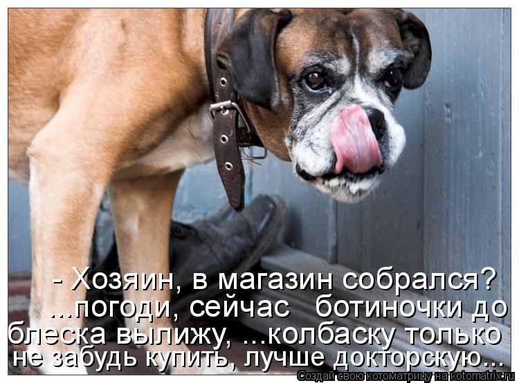Котоматрица: - Хозяин, в магазин собрался?  ...погоди, сейчас   ботиночки до блеска вылижу, ...колбаски только не забудь купить, лучше докторскую блеска выли