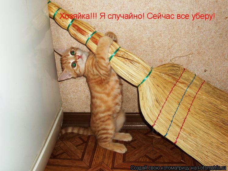 Котоматрица: Хозяйка!!! Я случайно! Сейчас все уберу!