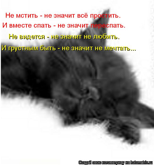 Котоматрица: Не мстить - не значит всё простить. И вместе спать - не значит переспать. Не видется - не значит не любить. И грустным быть - не значит не мечтат