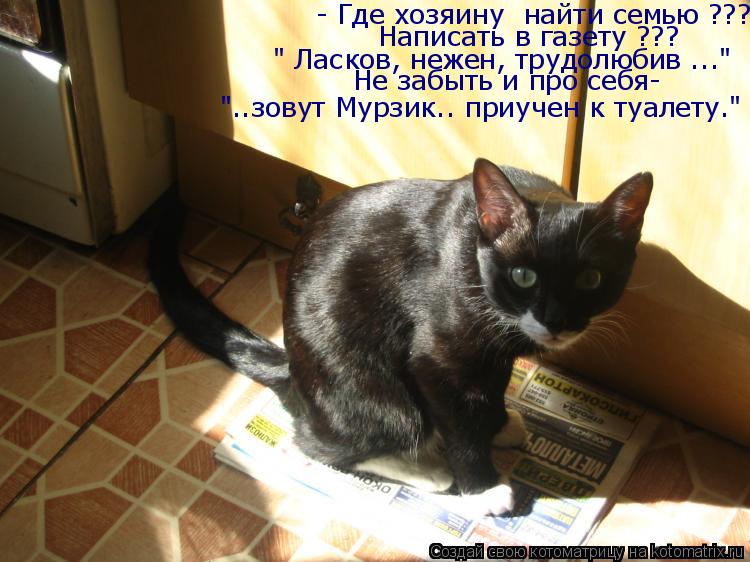 Котоматрица: - Где хозяину  найти семью ??? Написать в газету ??? " Ласков, нежен, трудолюбив ..." Не забыть и про себя- "..зовут Мурзик.. приучен к туалету."