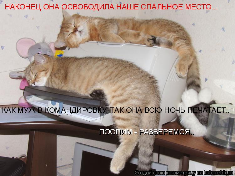 Котоматрица: НАКОНЕЦ ОНА ОСВОБОДИЛА НАШЕ СПАЛЬНОЕ МЕСТО... КАК МУЖ В КОМАНДИРОВКУ, ТАК ОНА ВСЮ НОЧЬ ПЕЧАТАЕТ.. ПОСПИМ - РАЗБЕРЕМСЯ..