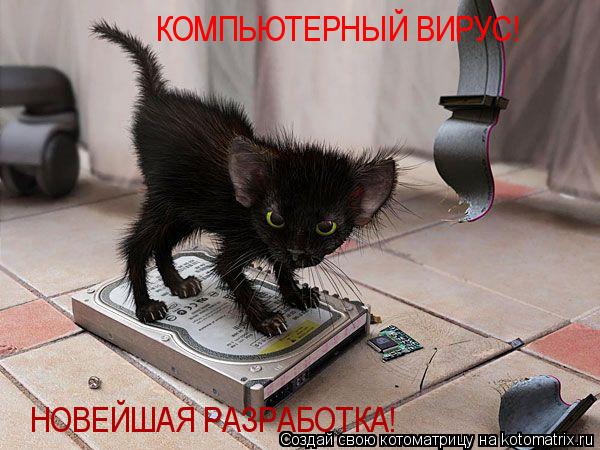 Котоматрица: КОМПЬЮТЕРНЫЙ ВИРУС! НОВЕЙШАЯ РАЗРАБОТКА!