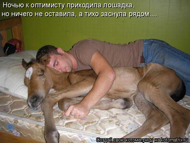 Ночью к оптимисту приходила лошадка, но ничего не оставила, а тихо заснула рядом....... Котоматрица: Ночью к оптимисту приходила лошадка, но ничего не оставила, а тихо заснула рядом....