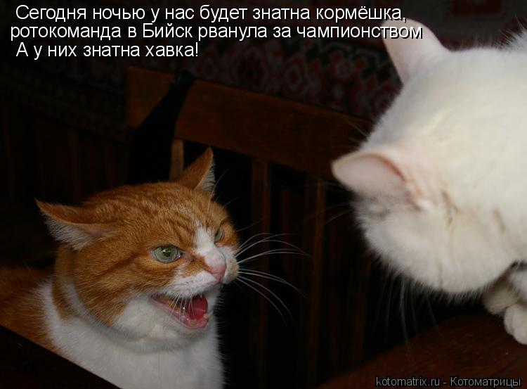 Сегодня ночью у нас будет знатна кормёшка, ротокоманда в Бийск рванула за чампионством А у них знат... Котоматрица: Сегодня ночью у нас будет знатна кормёшка, ротокоманда в Бийск рванула за чампионством А у них знатна хавка!