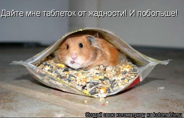 Котоматрица: Дайте мне таблеток от жадности! И побольше!