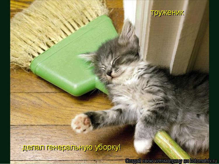 Котоматрица: труженик делал генеральную уборку!