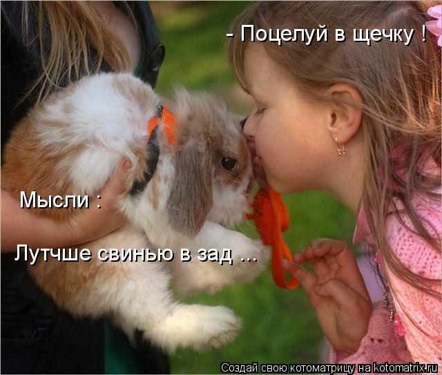 Котоматрица: - Поцелуй в щечку ! Мысли : Лутчше свинью в зад ...
