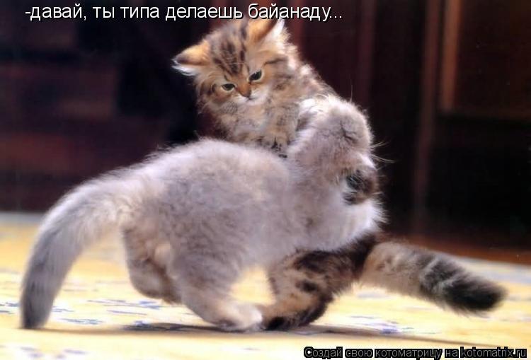 Котоматрица: -давай, ты типа делаешь байанаду...