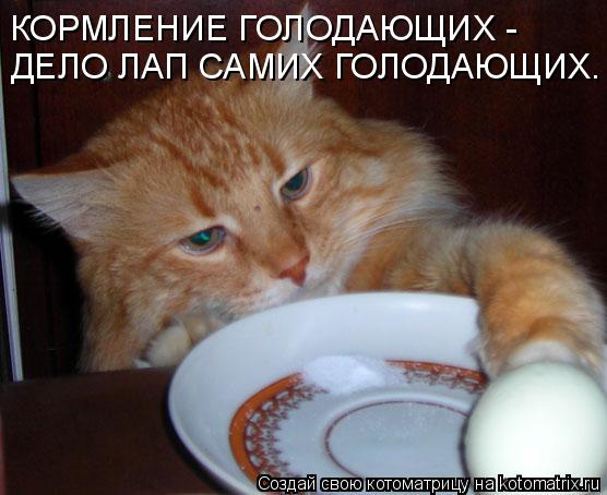 Котоматрица: ДЕЛО ЛАП САМИХ ГОЛОДАЮЩИХ. КОРМЛЕНИЕ ГОЛОДАЮЩИХ -