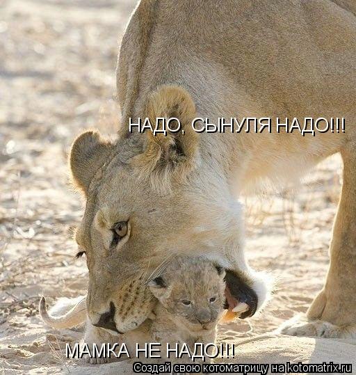 Котоматрица: МАМКА НЕ НАДО!!! НАДО, СЫНУЛЯ НАДО!!!