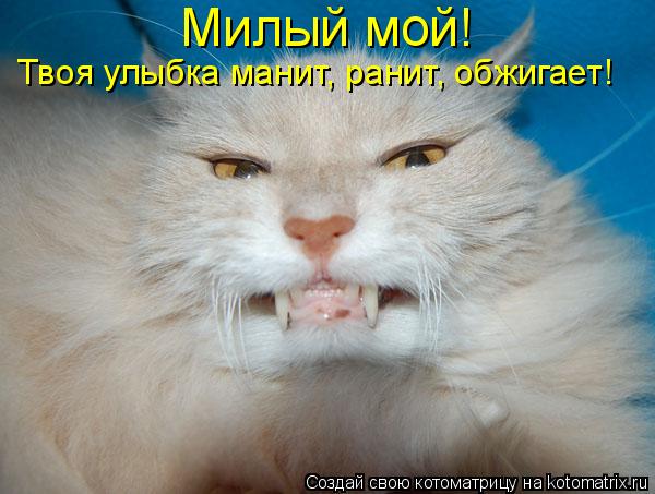 Милый мой! Твоя улыбка манит, ранит, обжигает!... Котоматрица: Милый мой! Твоя улыбка манит, ранит, обжигает!
