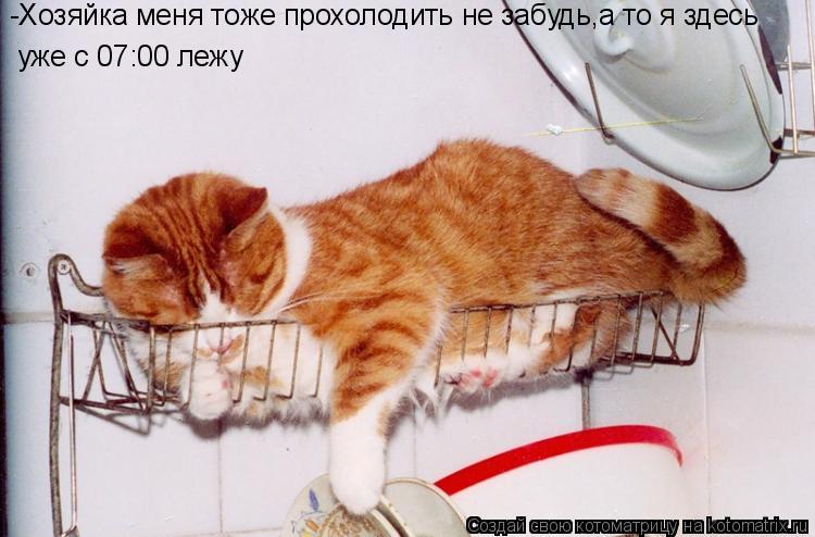 -Хозяйка меня тоже прохолодить не забудь,а то я здесь -Хозяйка меня тоже прохолодить не забудь,а то ... Котоматрица: -Хозяйка меня тоже прохолодить не забудь,а то я здесь -Хозяйка меня тоже прохолодить не забудь,а то я здесь уже с 07:00 лежу уже с 07:00 лежу