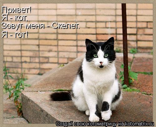Привет! Я - кот, Зовут меня - Скелет. Я - гот!... Котоматрица: Привет! Я - кот, Зовут меня - Скелет. Я - гот!