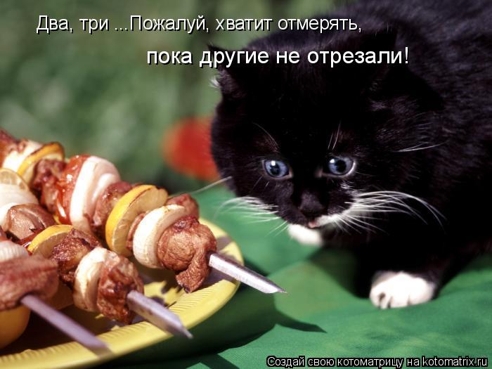 Котоматрица: Два, три ...Пожалуй, хватит отмерять, пока другие не отрезали!