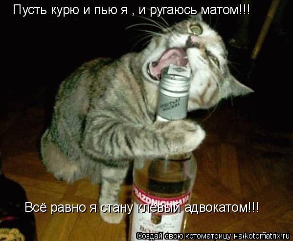 Пусть курю и пью я , и ругаюсь матом!!! Всё равно я стану клёвый адвокатом!!!... Котоматрица: Пусть курю и пью я , и ругаюсь матом!!! Всё равно я стану клёвый адвокатом!!!