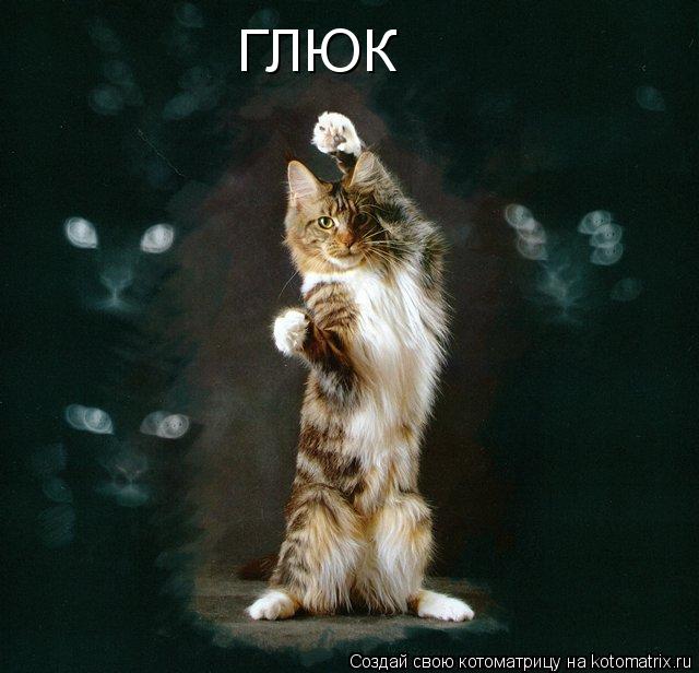 ГЛЮК... Котоматрица: ГЛЮК