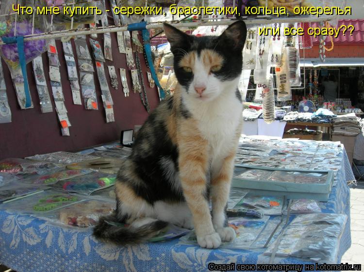 Котоматрица: Что мне купить - сережки, браслетики, кольца, ожерелья или все сразу??