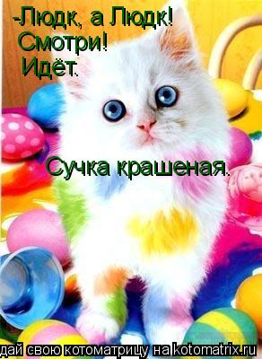 Котоматрица: -Людк, а Людк! Смотри! Идёт. Сучка крашеная.