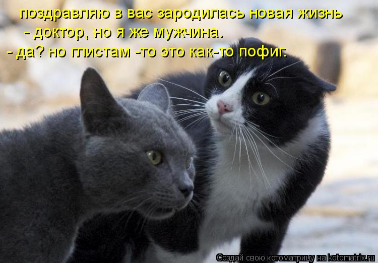 поздравляю в вас зародилась новая жизнь - доктор, но я же мужчина. - да? но глистам -то это как-то по... Котоматрица: поздравляю в вас зародилась новая жизнь - доктор, но я же мужчина. - да? но глистам -то это как-то пофиг.